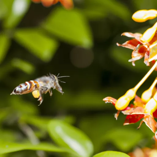 Budbee tracking