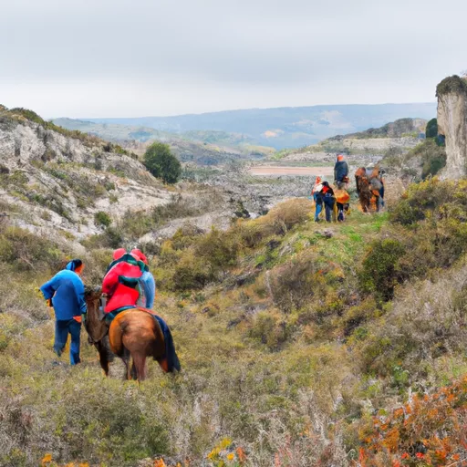 Estafeta tracking