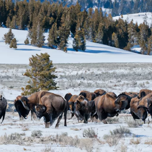Dakota group tracking