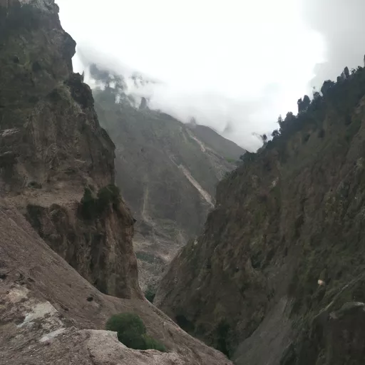 Daraz pakistan tracking