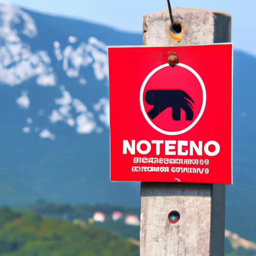 Montenegro Post tracking